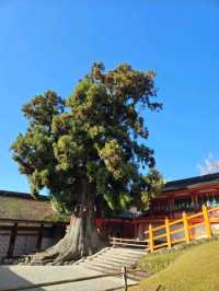 【奈良】世界遺産　春日大社（かすがたいしゃ）