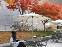 DDP 동대문 DESIGN PLAZA