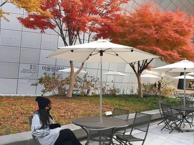 DDP 동대문 DESIGN PLAZA