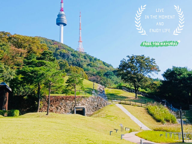 Namsan Baekbeom Square: A Historical and Scenic Urban Oasis