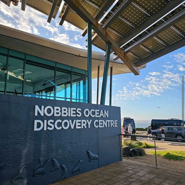 Phillip Island Nature Parks – VIC