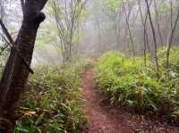 Misty Mountain Magic at Wolchulsan