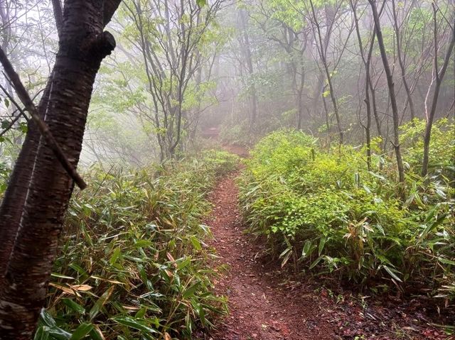 Misty Mountain Magic at Wolchulsan