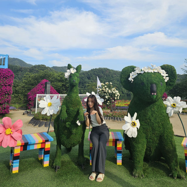 지금 당장 가야하는 자라섬 꽃🌺 페스타 ~2025.06.14