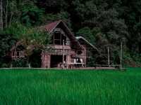 โฮมสเตย์เชียงใหม่...รอบบ้านมีนา🌾 บนฟ้ามีดาว⭐