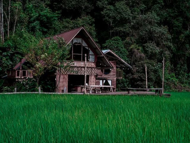โฮมสเตย์เชียงใหม่...รอบบ้านมีนา🌾 บนฟ้ามีดาว⭐