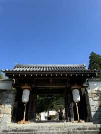 【京都🇯🇵】里山の風景を歩く静かな旅🚶🌳