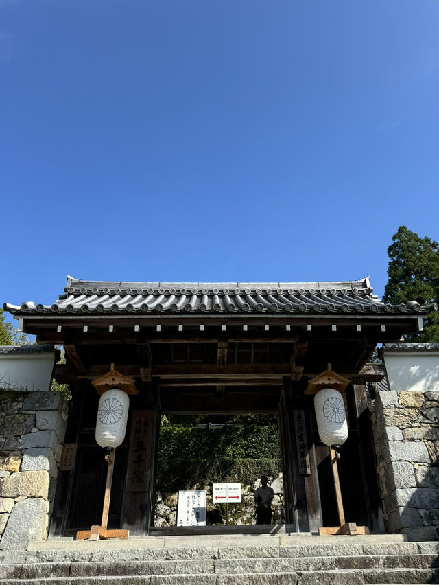 【京都🇯🇵】里山の風景を歩く静かな旅🚶🌳