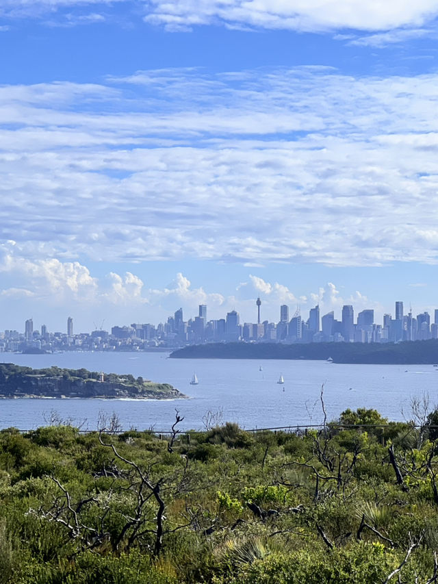 🌿⛰️【Sydney Harbour National Park 攻略】眺望雪梨天際線的絕美秘境✨