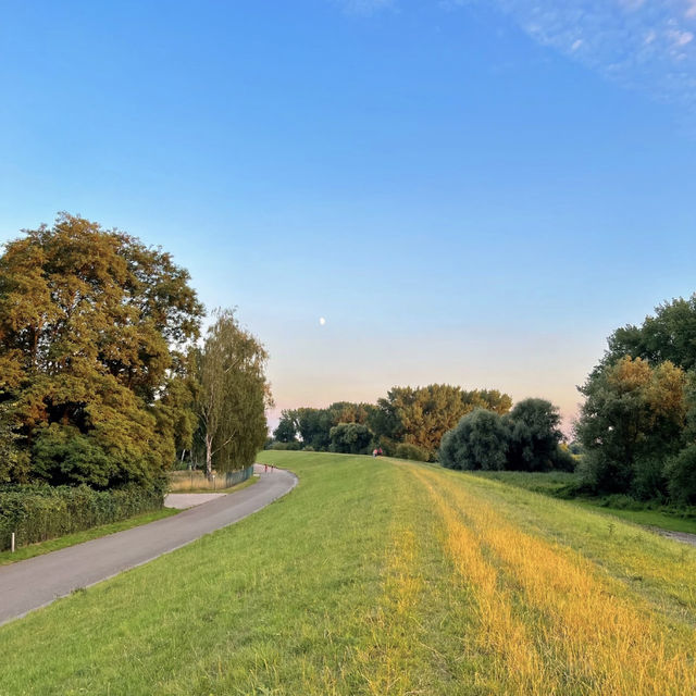Sunset Cycling Bliss at Kaltehofe, Hamburg! 🚴‍♀️🐑🌅