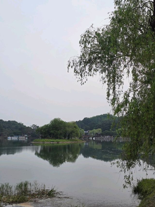 제천의 물길을 따라 걷는 하루 여행