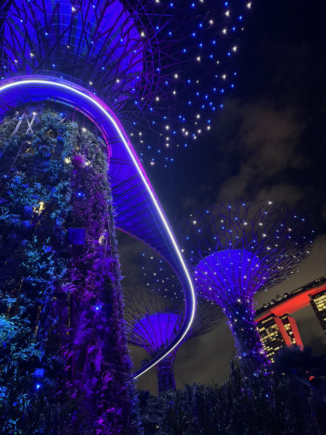 Northern lights in Singapore !