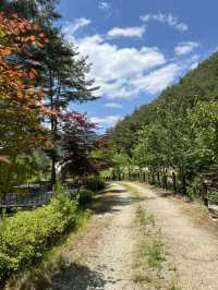 별이 쏟아지는 밤, 홍천 용오름에서 감성 캠핑 🏕️