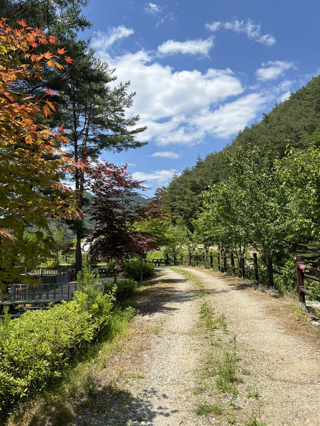 별이 쏟아지는 밤, 홍천 용오름에서 감성 캠핑 🏕️