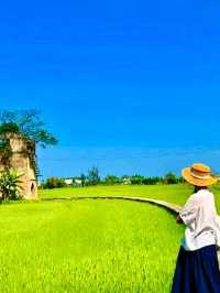 LÒ GẠCH CŨ FARM