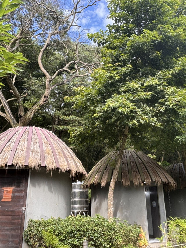 🍃 桃園大有梯田公園簡介