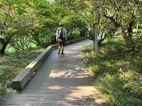 🌿 Huanhuaxi Park – A Calm Escape in the Heart of Chengdu
