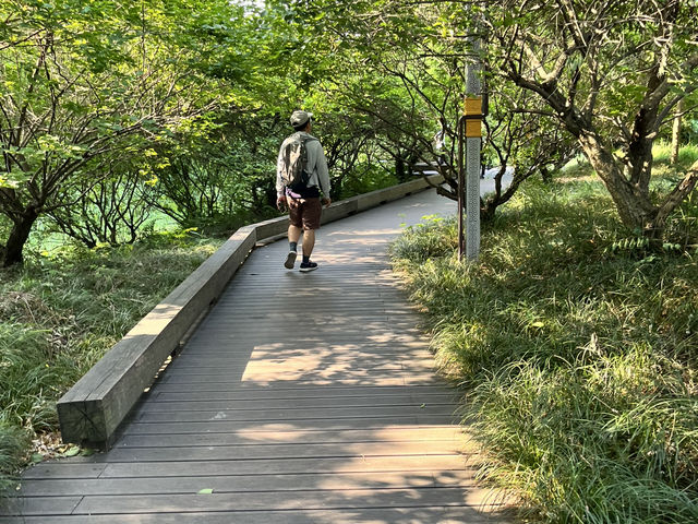 🌿 Huanhuaxi Park – A Calm Escape in the Heart of Chengdu