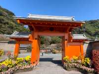 🌸 Serenity & Sweet Potatoes: A Peaceful Escape at Sengan-en 🌋