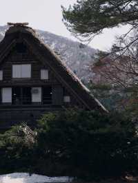 静寂と伝統が息づく世界遺産🌿菅沼合掌造り集落で癒しの時間を