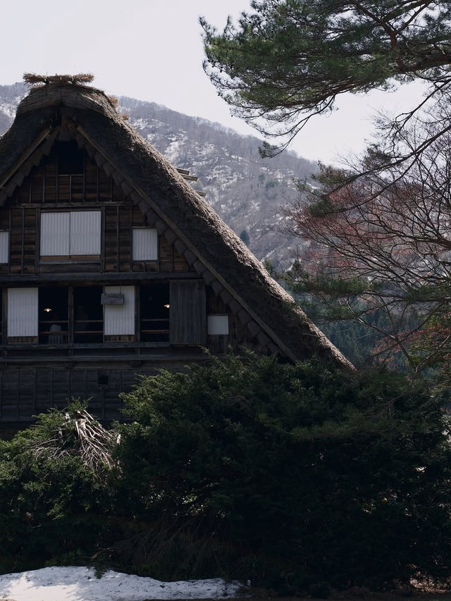 静寂と伝統が息づく世界遺産🌿菅沼合掌造り集落で癒しの時間を
