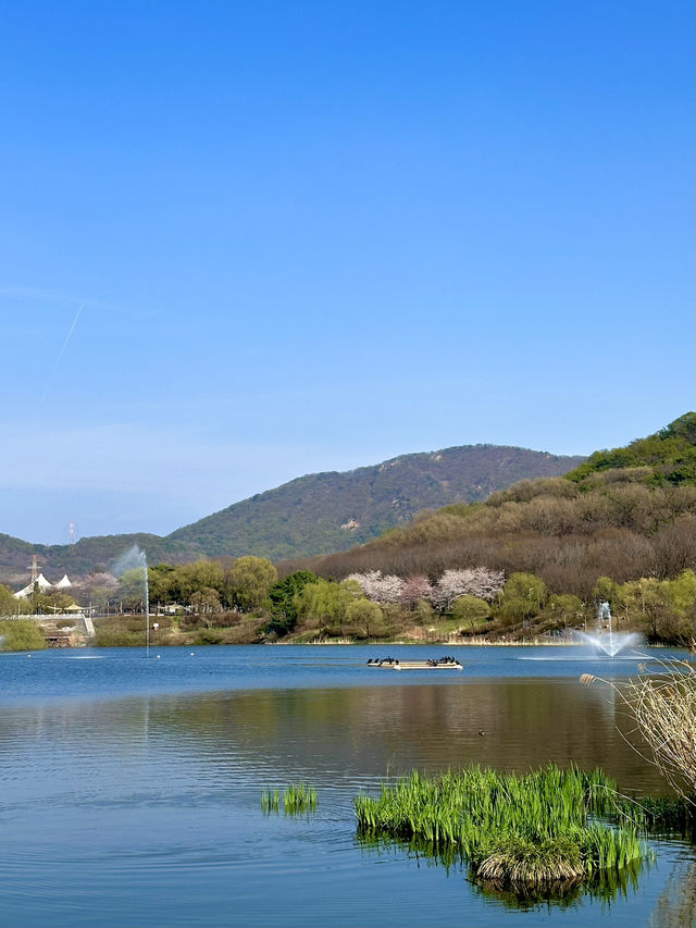 꽃비 맞으며 동물 친구도 만나는 인천대공원 산책 코스✨