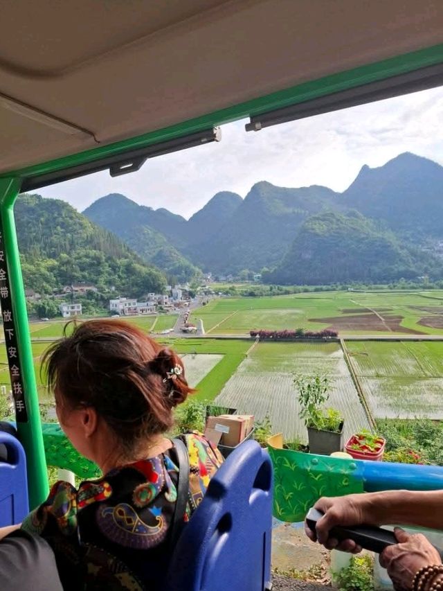 天下山峰何其多  唯有此處峰成林