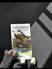【福井県立恐竜博物館で太古の世界へ】子どもも大人も夢中になる恐竜旅🦖🌍