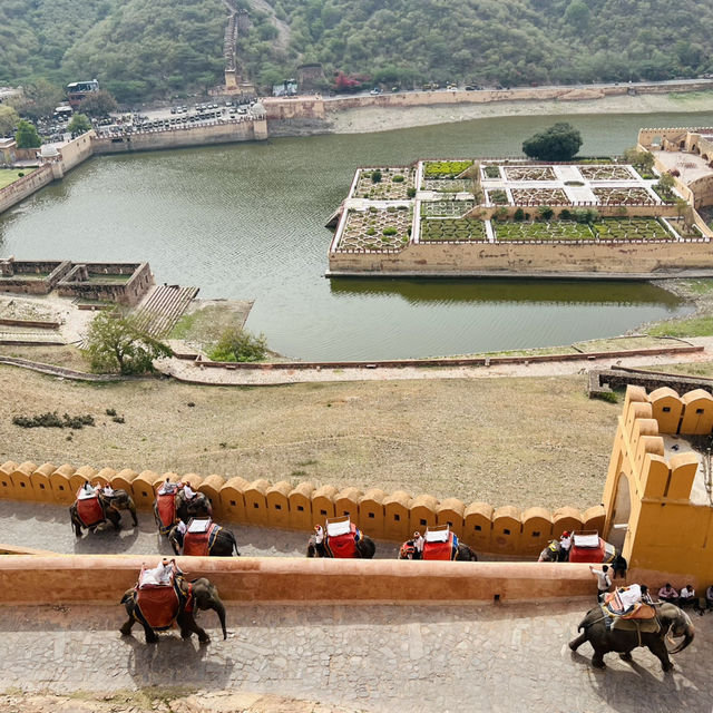 Lost in Time at Amber Fort, Jaipur 