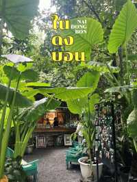 ร้านกาแฟในดงบอนยักษ์🌱