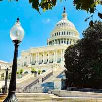 アメリカ民主主義の中心へ！米国議会議事堂ビジターセンター