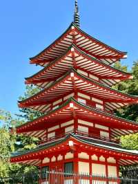 🌸⛩️ 3D2N Mt. Fuji, Hakone & Kamakura Scenic Escape! 🗻🚞✨