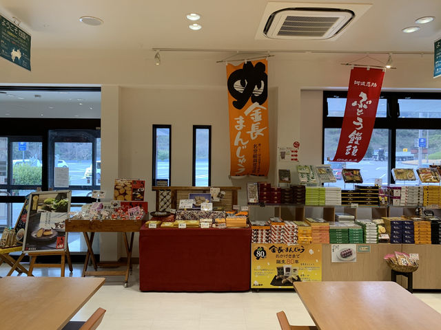 🚗 Rest & Recharge at Kamiita Service Area (Westbound)