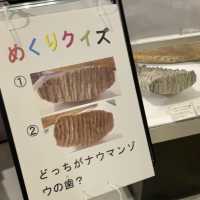 大迫力！ナウマンゾウの博物館