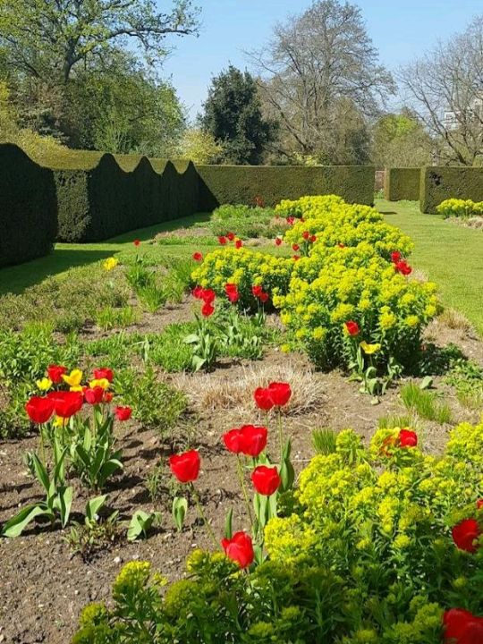 Harris Garden