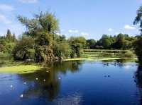 🌿 Peaceful Stroll Through Abbey Park