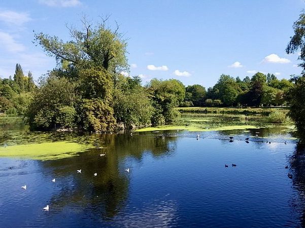🌿 Peaceful Stroll Through Abbey Park