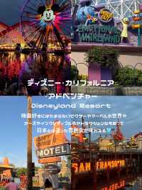 カリフォルニアディズニー【アドベンチャーパーク】🎡✨