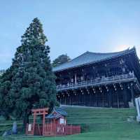奈良 | 東大寺二月堂，登高遠眺好去處