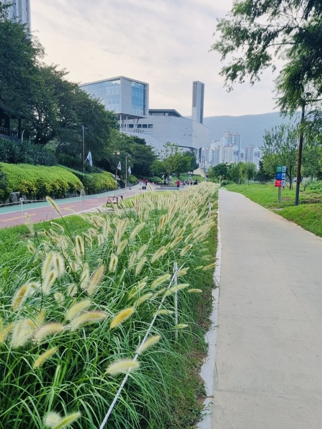 Onchonchon Citizen's Park, Busan: A Riverside Oasis for Leisure and Recreation