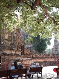 Ayutthaya historical park 阿瑜陀耶古城