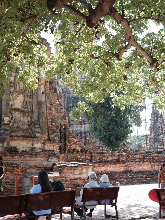Ayutthaya historical park 阿瑜陀耶古城