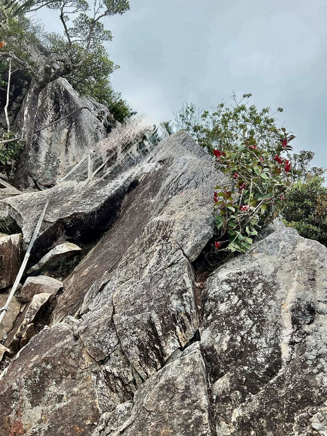 夏天就是要去中級山避暑