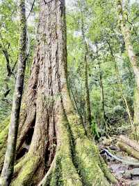 夏天就是要去中級山避暑