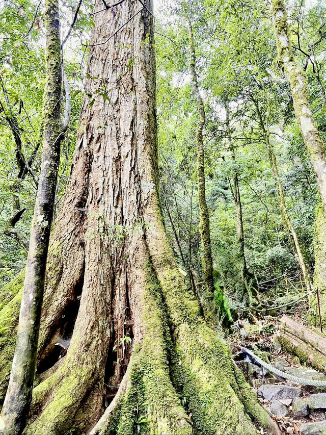 夏天就是要去中級山避暑