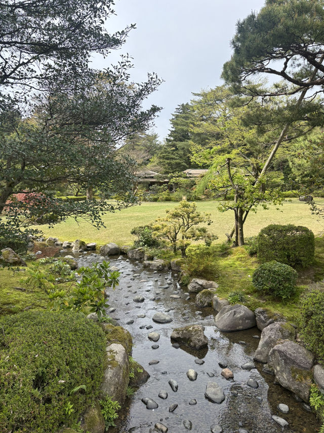 兼六園：盛夏中的翠綠天地 🍃🌞