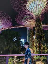 Singapore’s Most Iconic View – And It’s FREE!