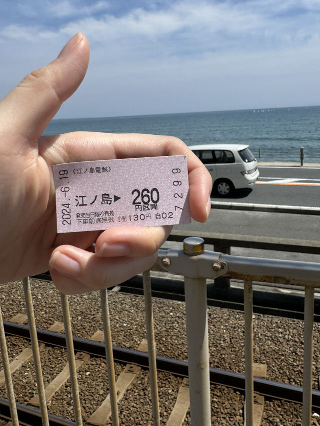 🏯⛩️ Kamakura Day Trip: Temples, Streets & Sea Breeze 🌸