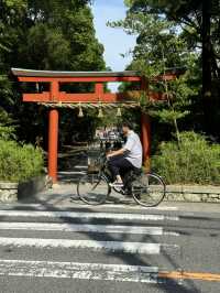 🏯⛩️ Kamakura Day Trip: Temples, Streets & Sea Breeze 🌸