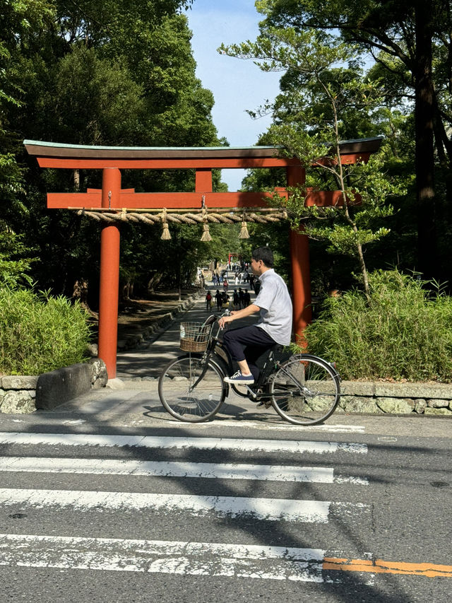🏯⛩️ Kamakura Day Trip: Temples, Streets & Sea Breeze 🌸